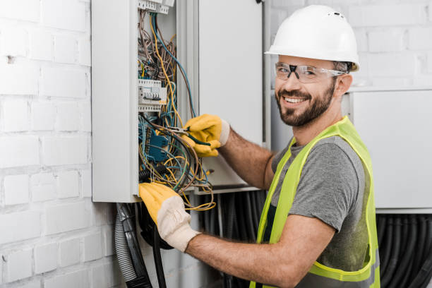 Best Affordable Electrician  in Coldwater, MI