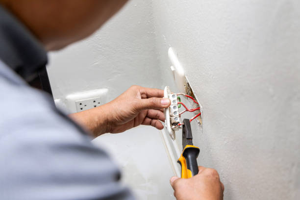 Best Residential Electrician Services  in Coldwater, MI